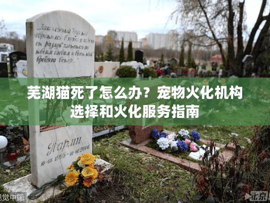 芜湖猫死了怎么办？宠物火化机构选择和火化服务指南