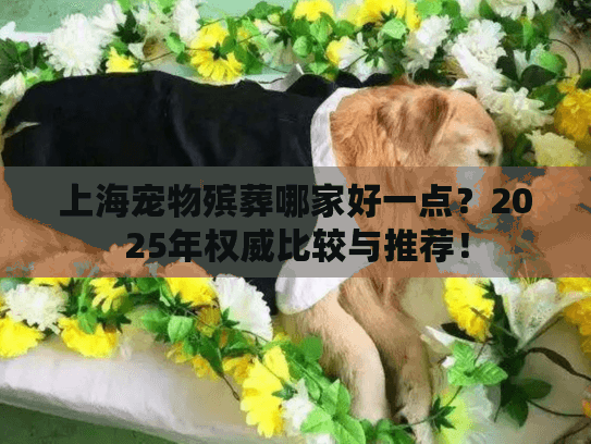 上海宠物殡葬哪家好一点？2025年权威比较与推荐！