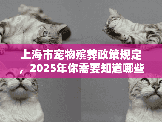 上海市宠物殡葬政策规定，2025年你需要知道哪些关键细节？