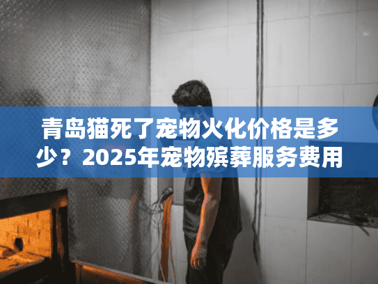 青岛猫死了宠物火化价格是多少？2025年宠物殡葬服务费用全解析