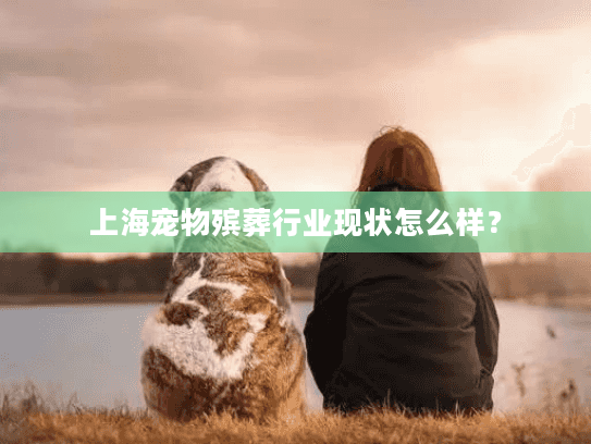 上海宠物殡葬行业现状怎么样？