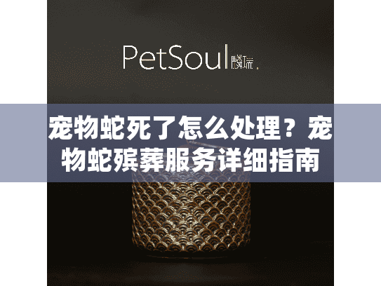 宠物蛇死了怎么处理？宠物蛇殡葬服务详细指南