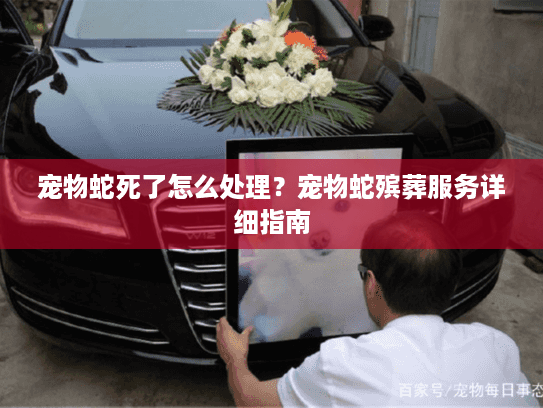 宠物蛇死了怎么处理？宠物蛇殡葬服务详细指南
