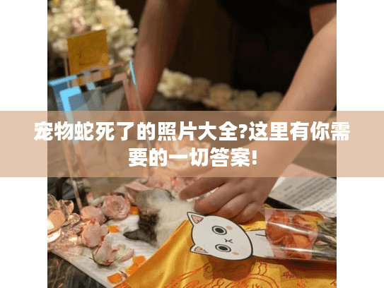 宠物蛇死了的照片大全?这里有你需要的一切答案! 宠物蛇死了的照片大全?这里有你需要的一切答案!