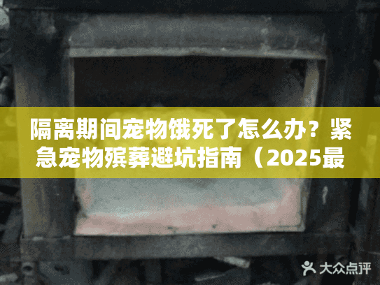 隔离期间宠物饿死了怎么办图片