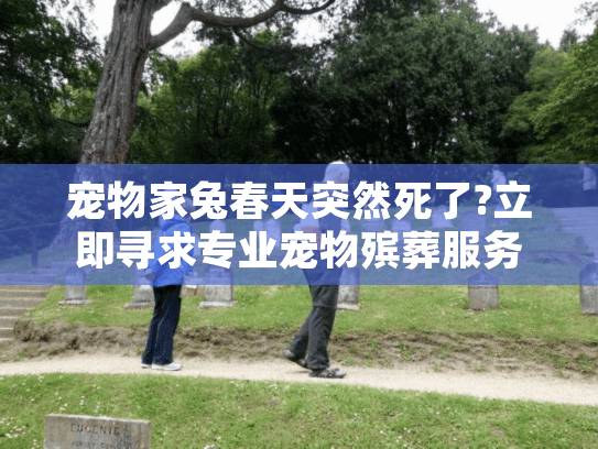 宠物家兔春天突然死了?立即寻求专业宠物殡葬服务的完整指南