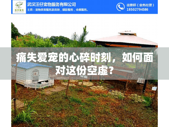 痛失爱宠的心碎时刻，如何面对这份空虚？
