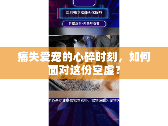 痛失爱宠的心碎时刻，如何面对这份空虚？
