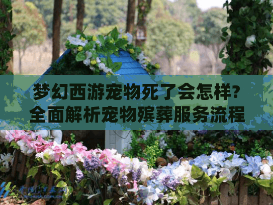 梦幻西游宠物死了会怎样?全面解析宠物殡葬服务流程