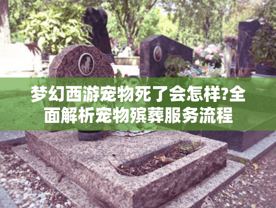梦幻西游宠物死了会怎样?全面解析宠物殡葬服务流程