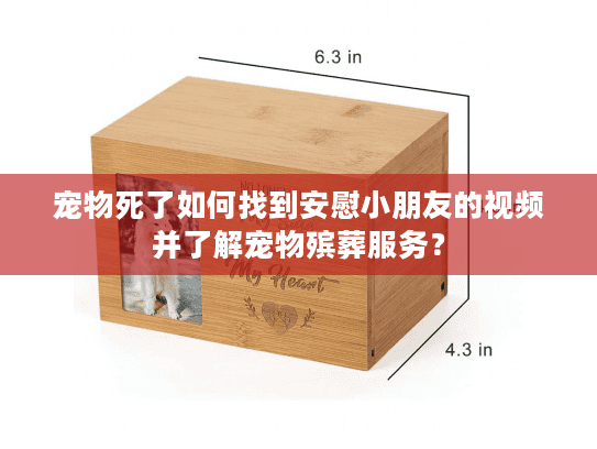 宠物死了如何找到安慰小朋友的视频并了解宠物殡葬服务？