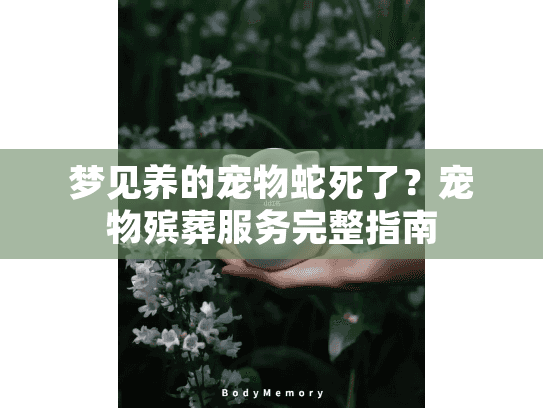 梦见养的宠物蛇死了？宠物殡葬服务完整指南