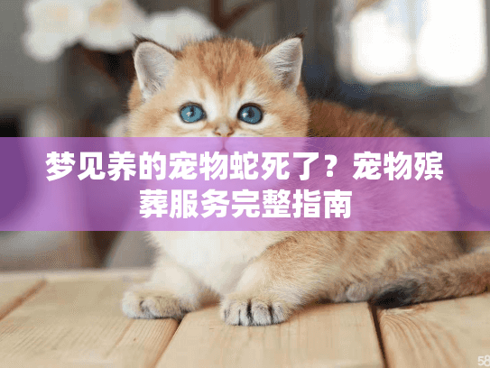 梦见养的宠物蛇死了？宠物殡葬服务完整指南