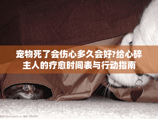 宠物死了会伤心多久会好?给心碎主人的疗愈时间表与行动指南