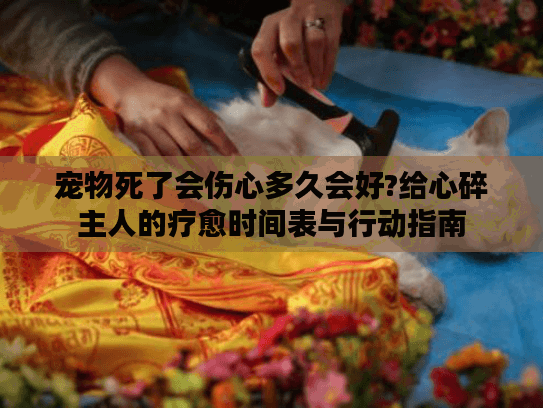 宠物死了会伤心多久会好?给心碎主人的疗愈时间表与行动指南