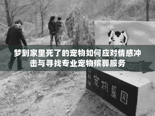 梦到家里死了的宠物如何应对情感冲击与寻找专业宠物殡葬服务