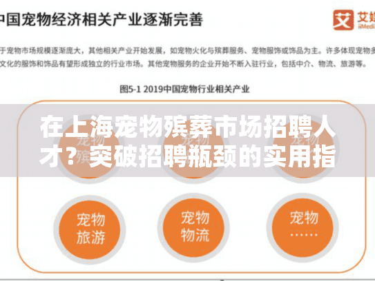 在上海宠物殡葬市场招聘人才？突破招聘瓶颈的实用指南