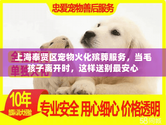 上海奉贤区宠物火化殡葬服务，当毛孩子离开时，这样送别最安心