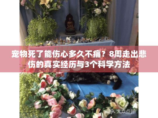 宠物死了能伤心多久不痛？8周走出悲伤的真实经历与3个科学方法