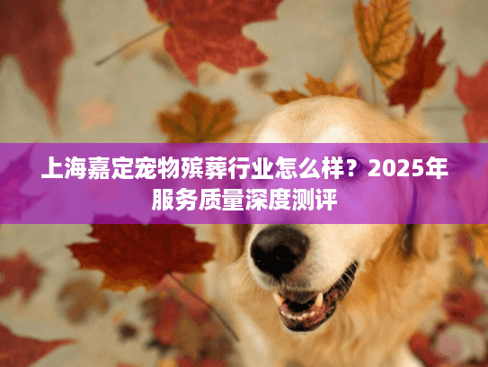 上海嘉定宠物殡葬行业怎么样？2025年服务质量深度测评