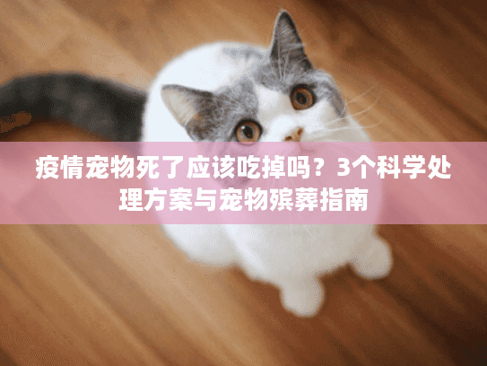 疫情宠物死了应该吃掉吗？3个科学处理方案与宠物殡葬指南