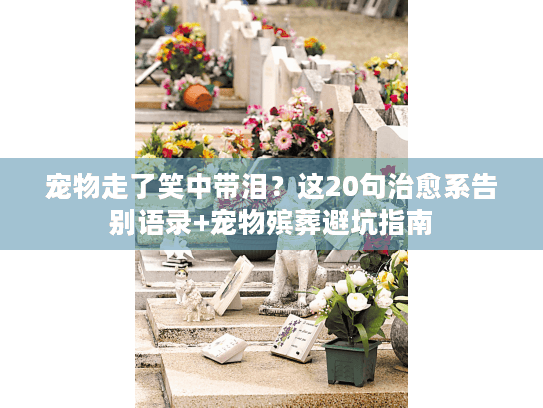 宠物走了笑中带泪？这20句治愈系告别语录+宠物殡葬避坑指南