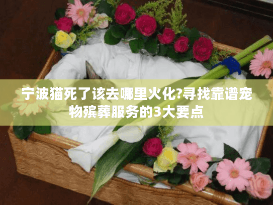 宁波猫死了该去哪里火化?寻找靠谱宠物殡葬服务的3大要点