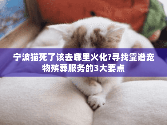 宁波猫死了该去哪里火化?寻找靠谱宠物殡葬服务的3大要点