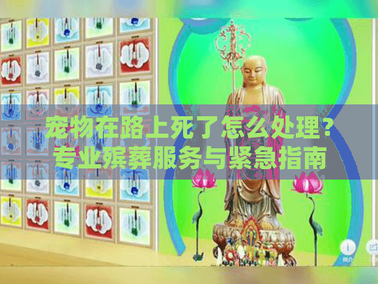 宠物在路上死了怎么处理？专业殡葬服务与紧急指南