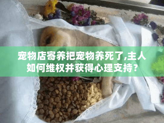 宠物店寄养把宠物养死了,主人如何维权并获得心理支持？