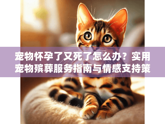 宠物怀孕了又死了怎么办？实用宠物殡葬服务指南与情感支持策略