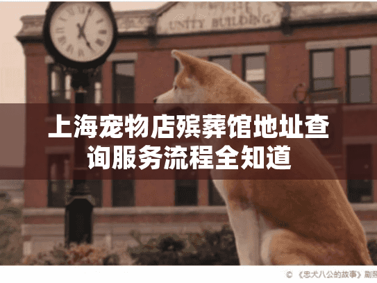 上海宠物店殡葬馆地址查询服务流程全知道