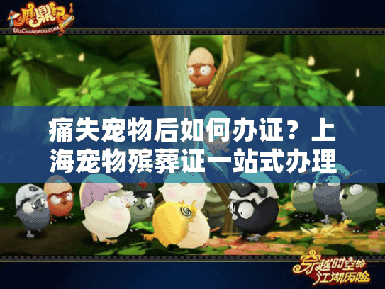 痛失宠物后如何办证？上海宠物殡葬证一站式办理指南