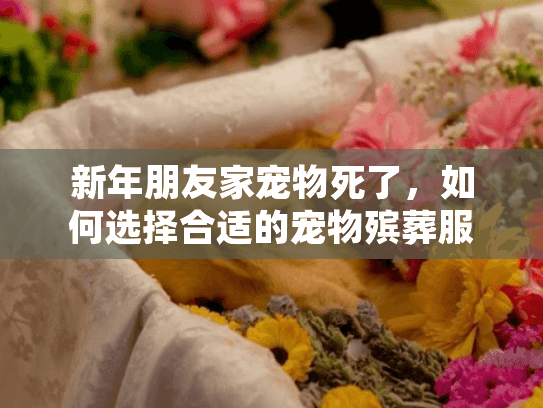 新年朋友家宠物死了，如何选择合适的宠物殡葬服务？
