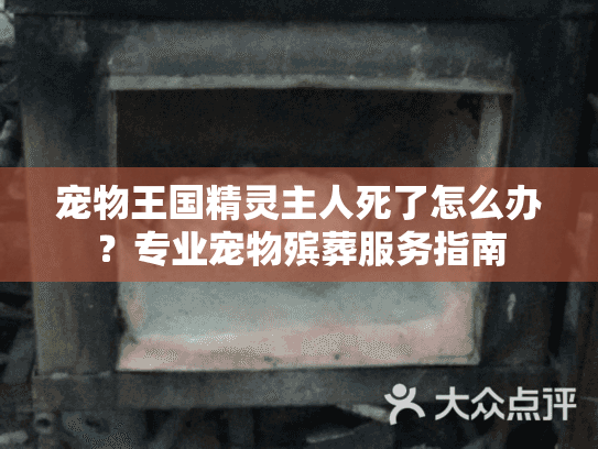 宠物王国精灵主人死了怎么办？专业宠物殡葬服务指南