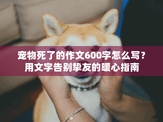 宠物死了的作文600字怎么写？用文字告别挚友的暖心指南
