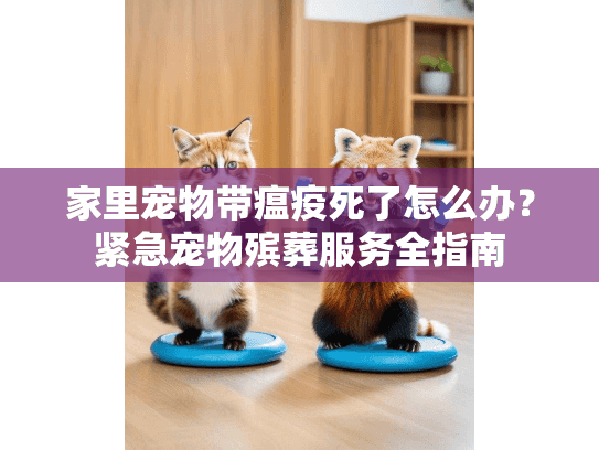 家里宠物带瘟疫死了怎么办？紧急宠物殡葬服务全指南