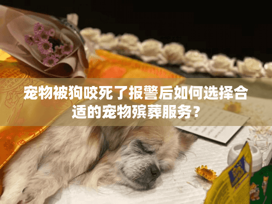 宠物被狗咬死了报警后如何选择合适的宠物殡葬服务？