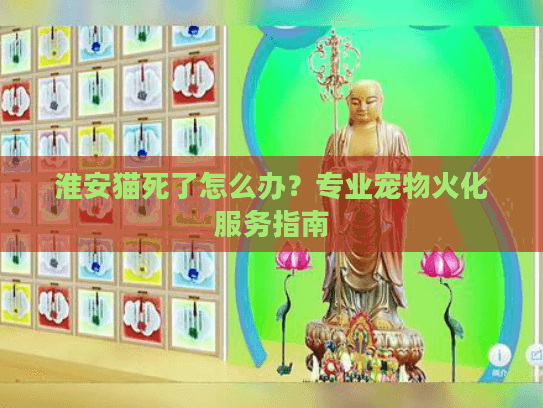 淮安猫死了怎么办？专业宠物火化服务指南