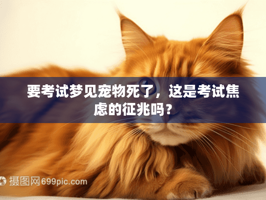 要考试梦见宠物死了，这是考试焦虑的征兆吗？
