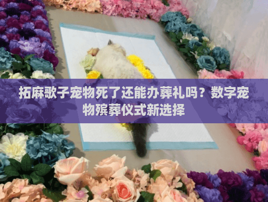 拓麻歌子宠物死了还能办葬礼吗？数字宠物殡葬仪式新选择