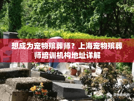 想成为宠物殡葬师？上海宠物殡葬师培训机构地址详解