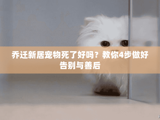 乔迁新居宠物死了好吗？教你4步做好告别与善后