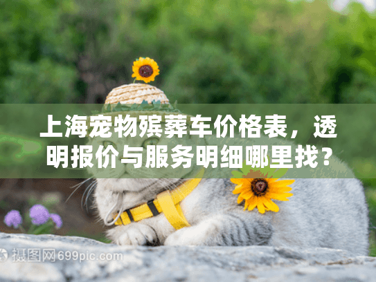 上海宠物殡葬车价格表，透明报价与服务明细哪里找？