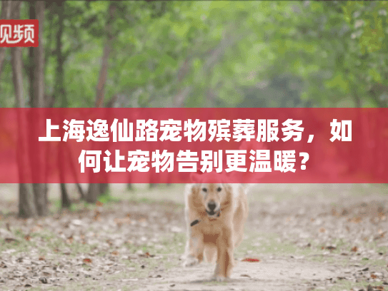 上海逸仙路宠物殡葬服务，如何让宠物告别更温暖？