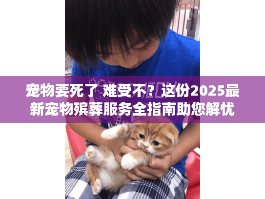 宠物要死了 难受不？这份2025最新宠物殡葬服务全指南助您解忧