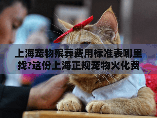 上海宠物殡葬费用标准表哪里找?这份上海正规宠物火化费用表请收好