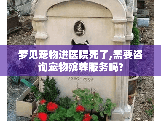 梦见宠物进医院死了,需要咨询宠物殡葬服务吗?