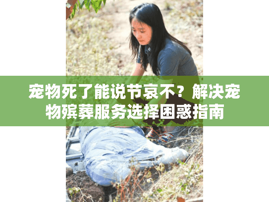 宠物死了能说节哀不？解决宠物殡葬服务选择困惑指南