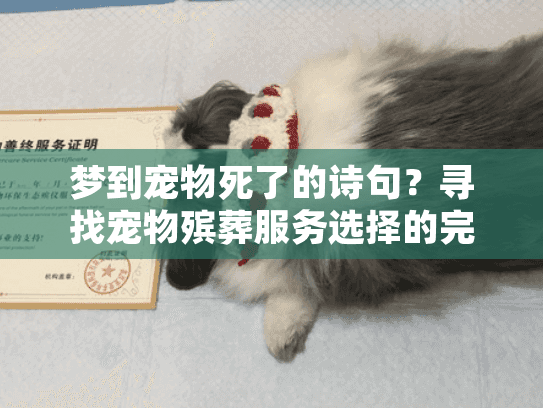 梦到宠物死了的诗句？寻找宠物殡葬服务选择的完整指南